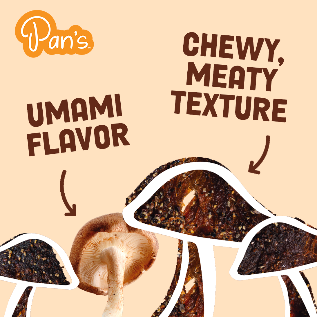 Pan_s_MushroomJerky_All_Chewy.png