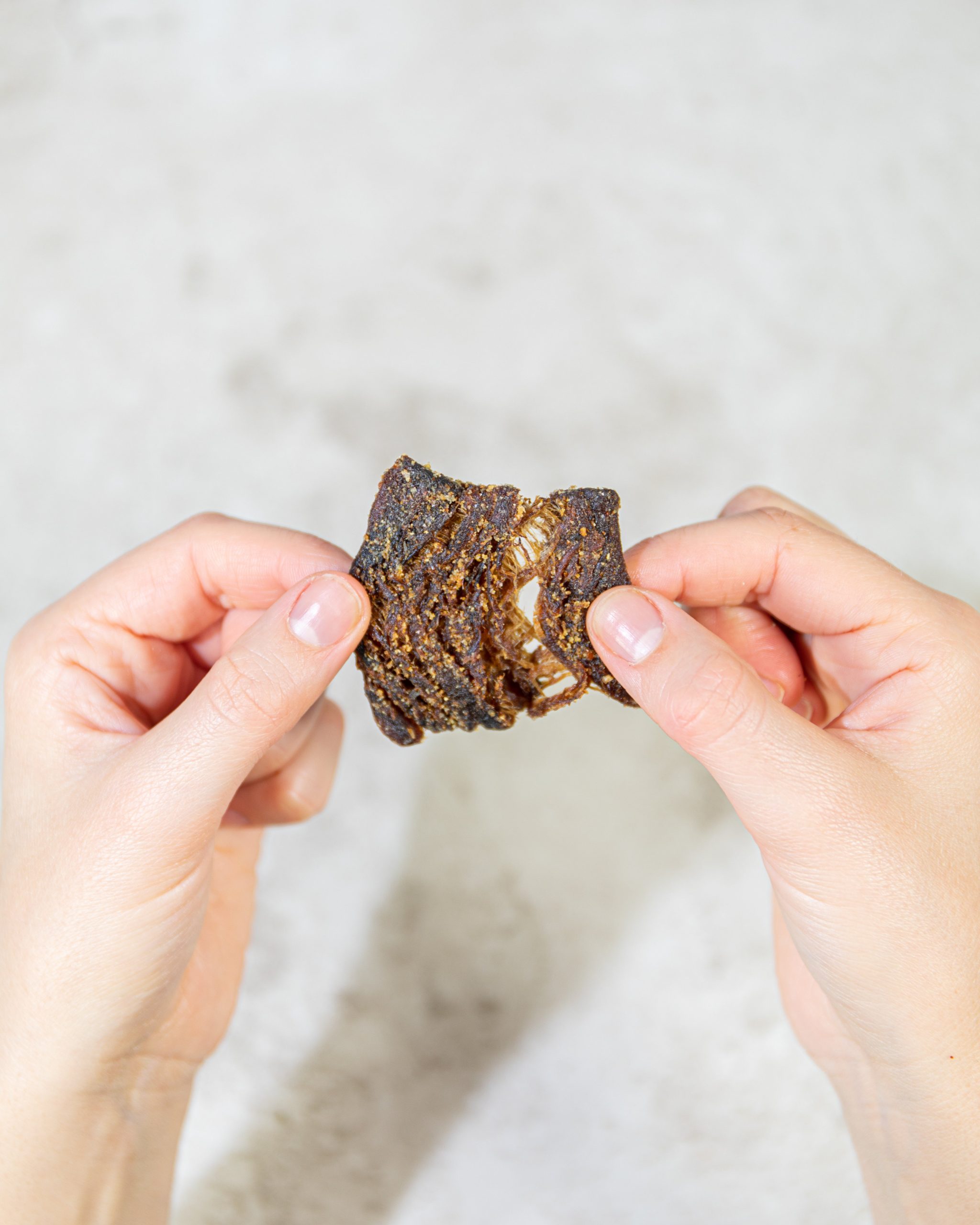 Pan_s_MushroomJerky_ZestyThai_Texture.jpg