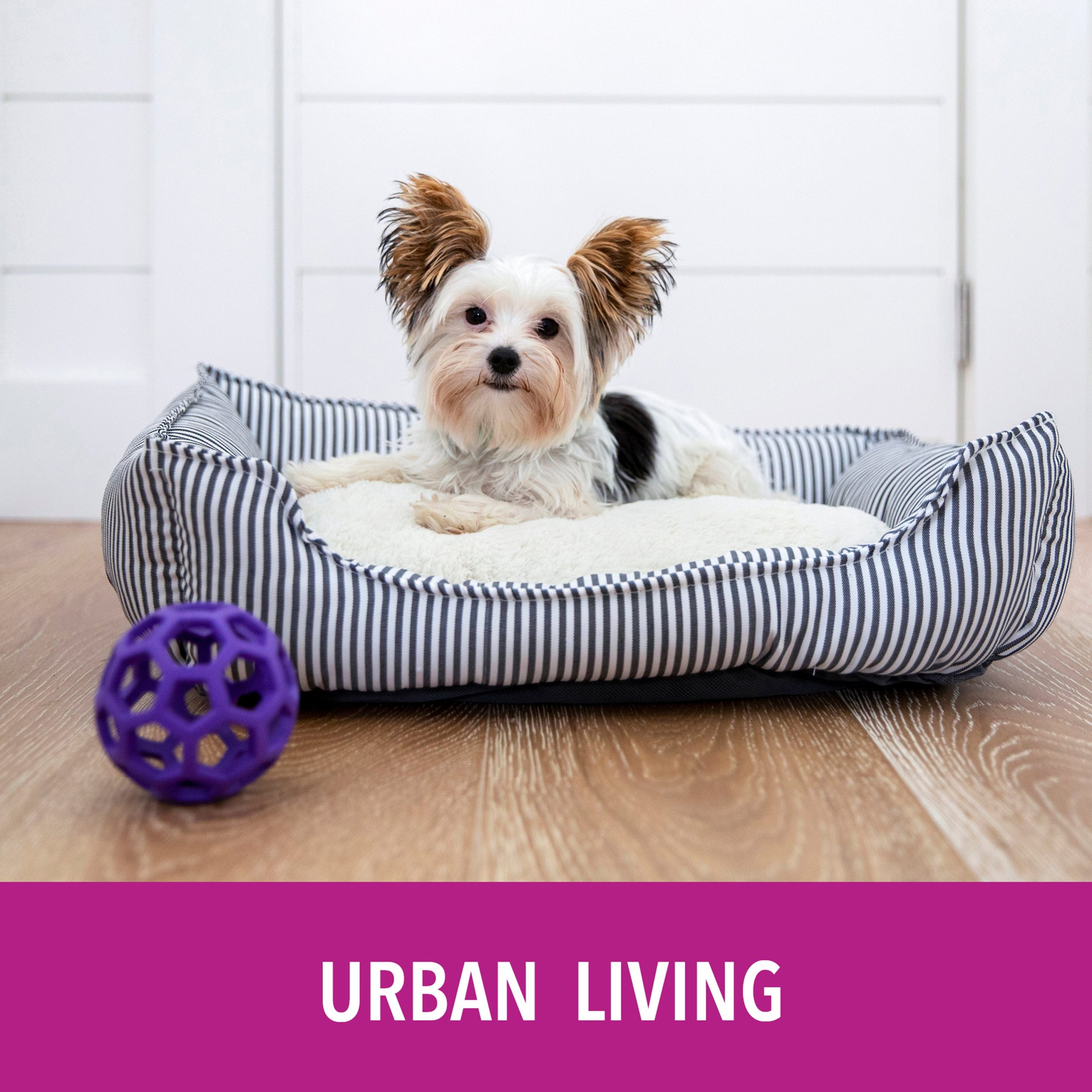 PuppyGoPotty_UrbanLiving6.jpg