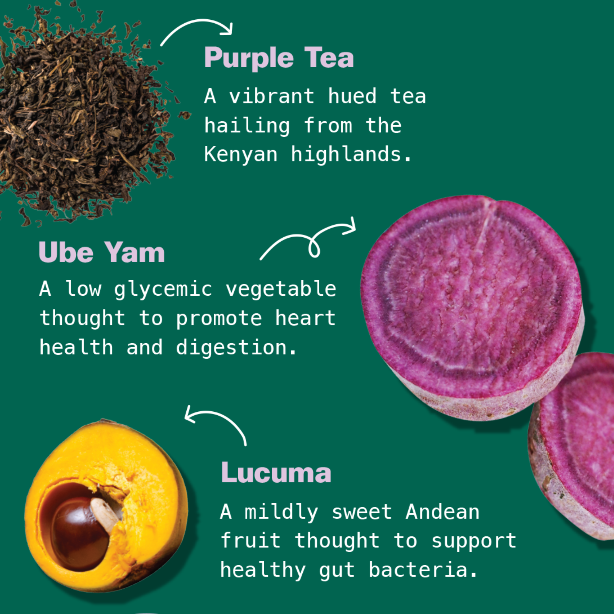 Purple_Latte_Callouts.png