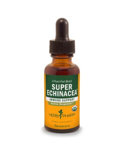 Super Echinacea