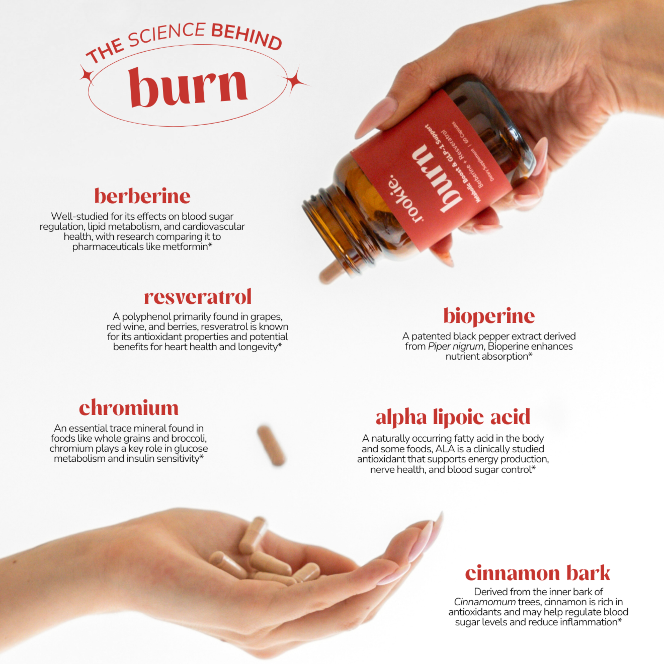 Rookie_Wellness_Burn_Ingredients_1.png