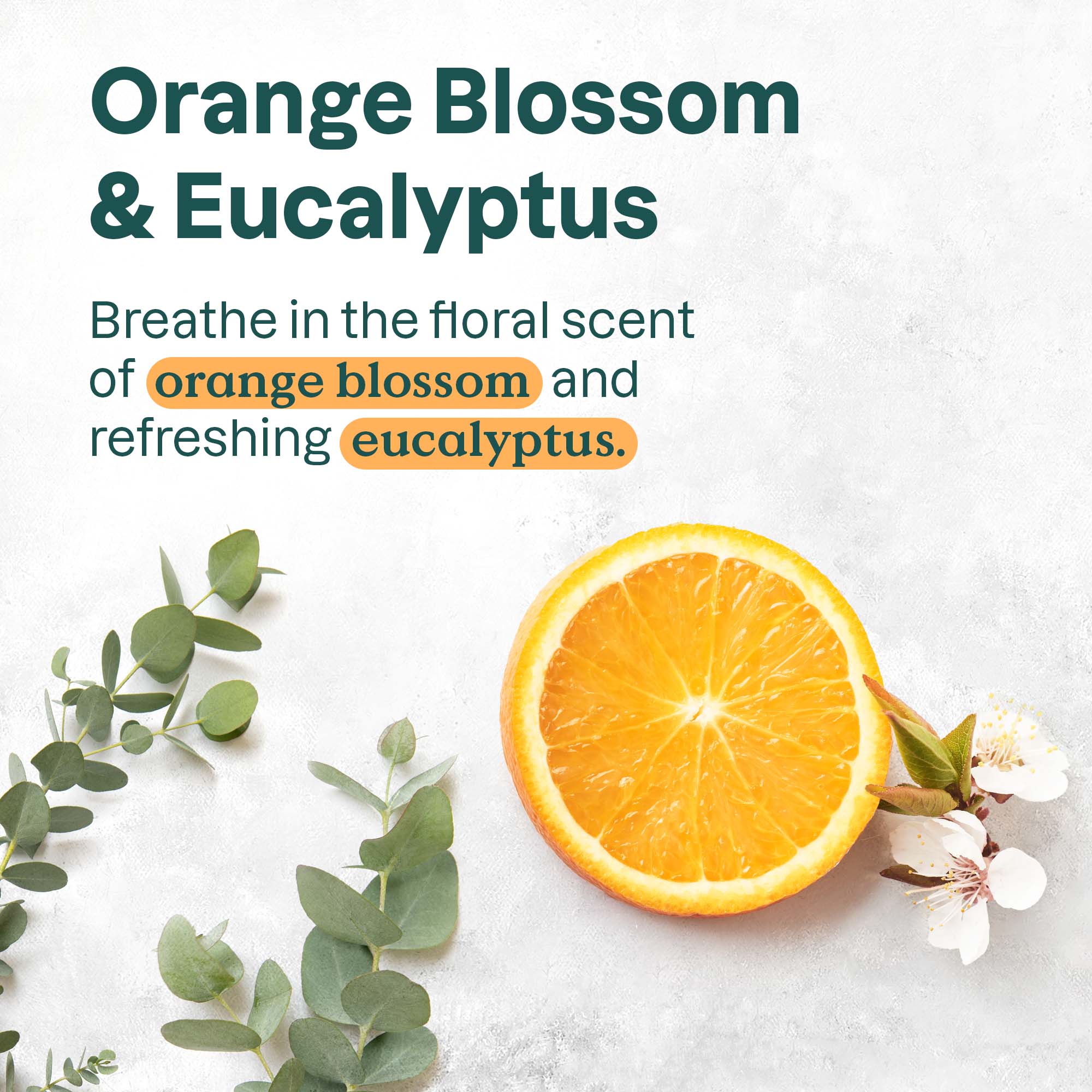 SL_Fragrance_OrangeBlossom.jpg