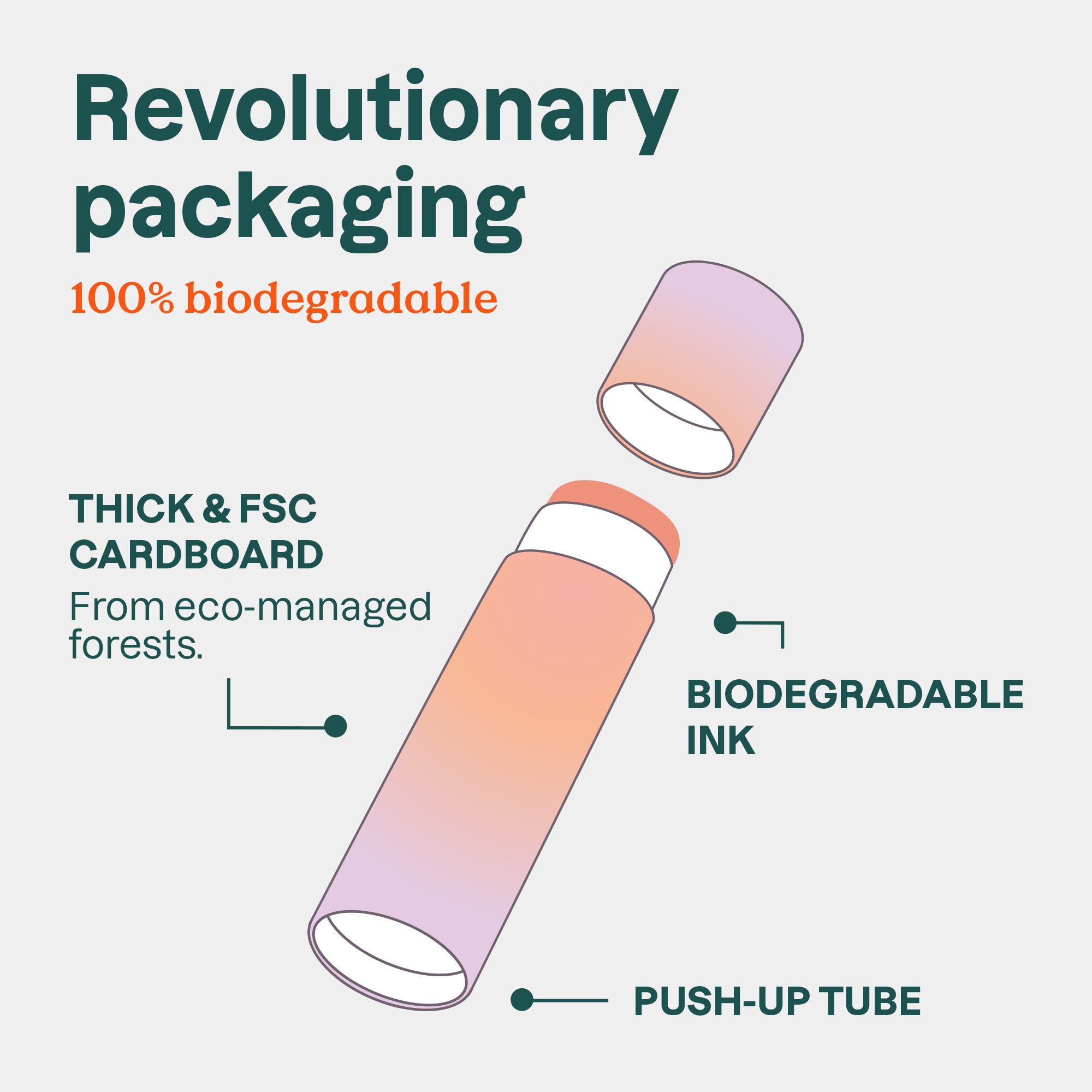 SUN_LipBalm-Coconut_Packaging.jpg