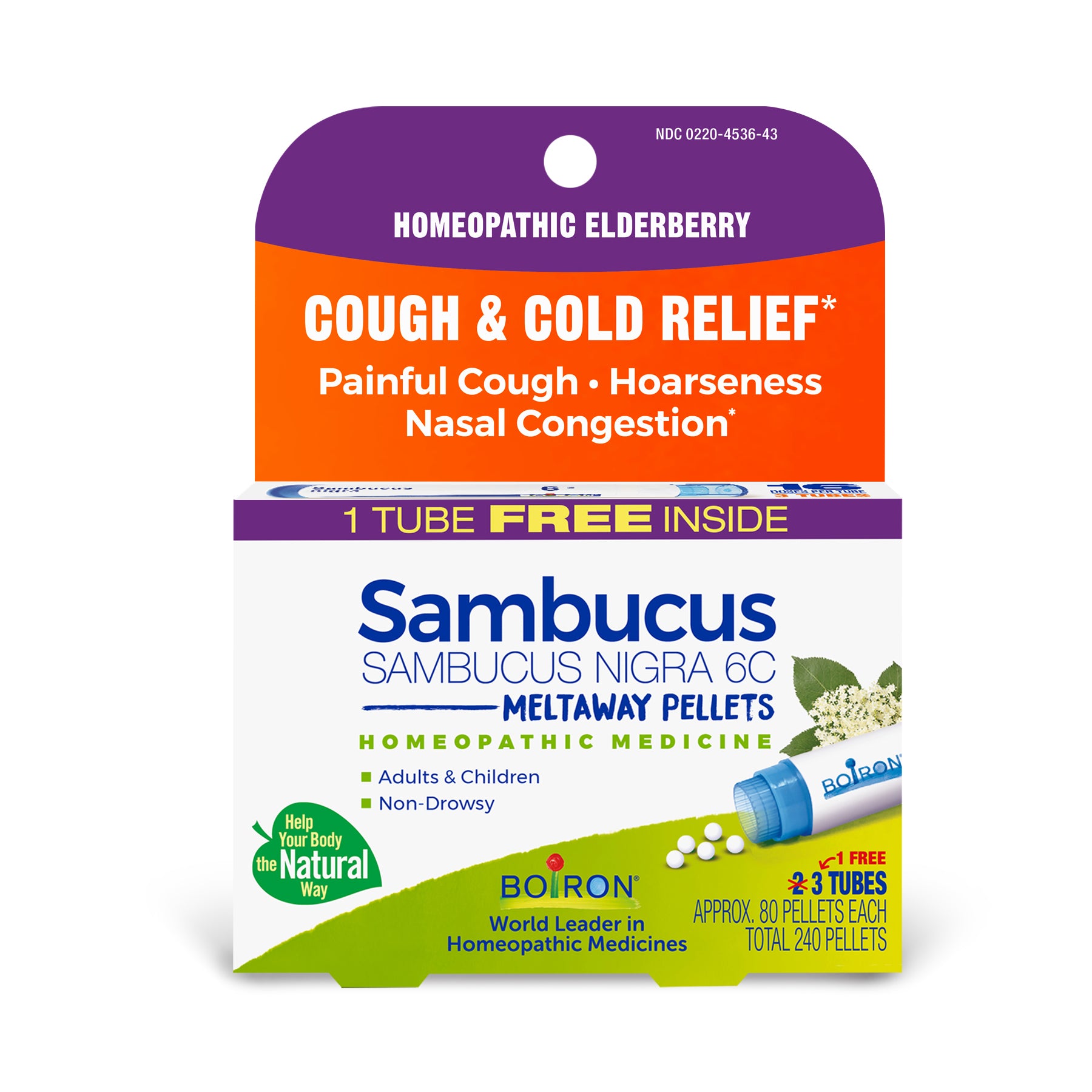 Sambucus_Nigra_6C_Bonus_Care_Pack_03.jpg