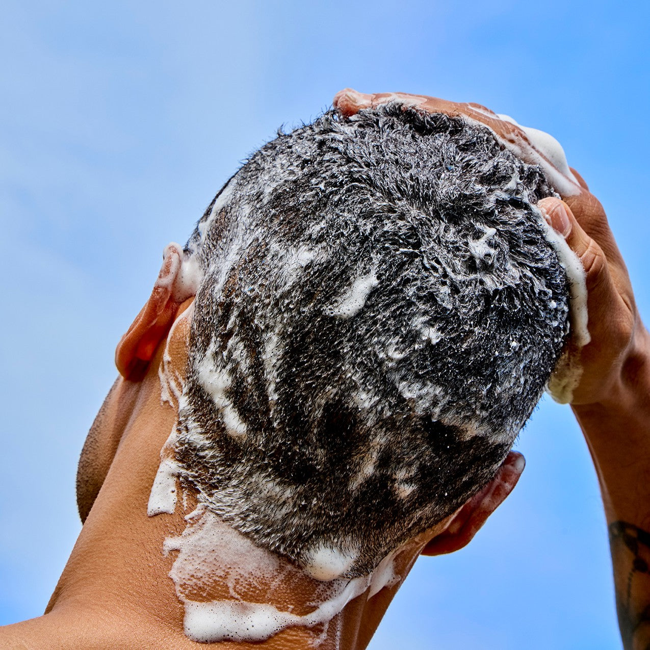 Shampoo_4039.jpg