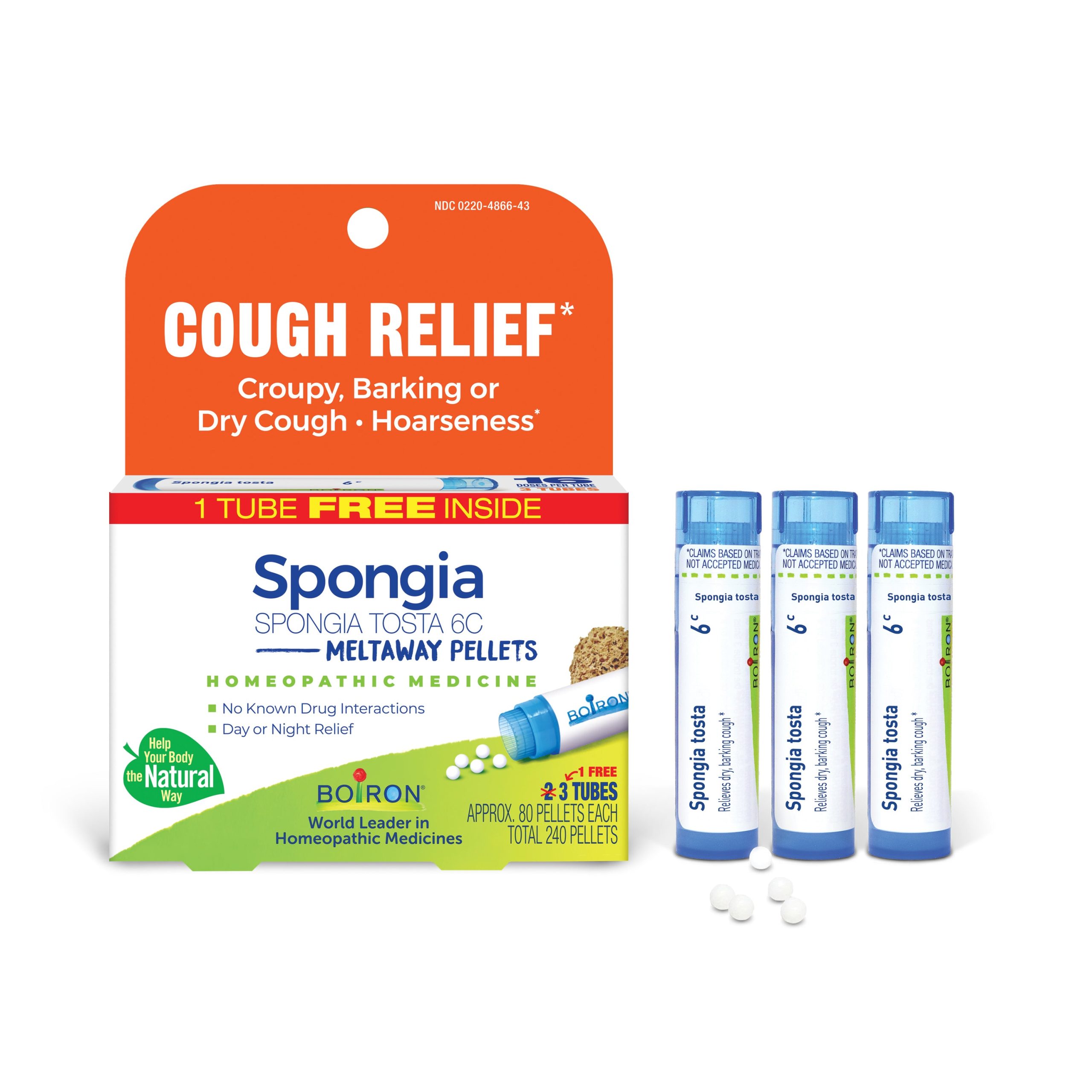 Spongia_Tosta_6C_Bonus_Care_Pack_01.jpg