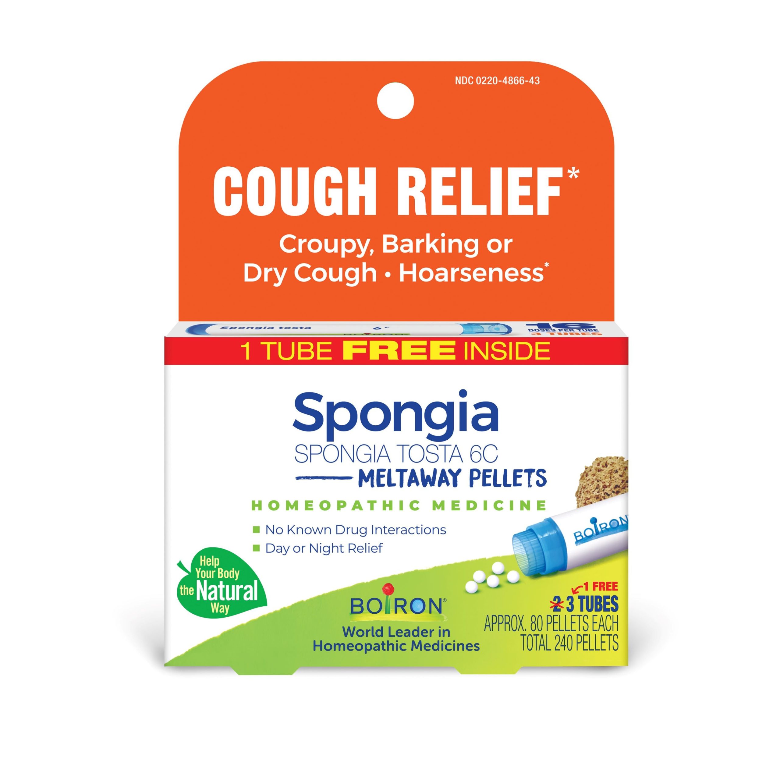 Spongia_Tosta_6C_Bonus_Care_Pack_03.jpg