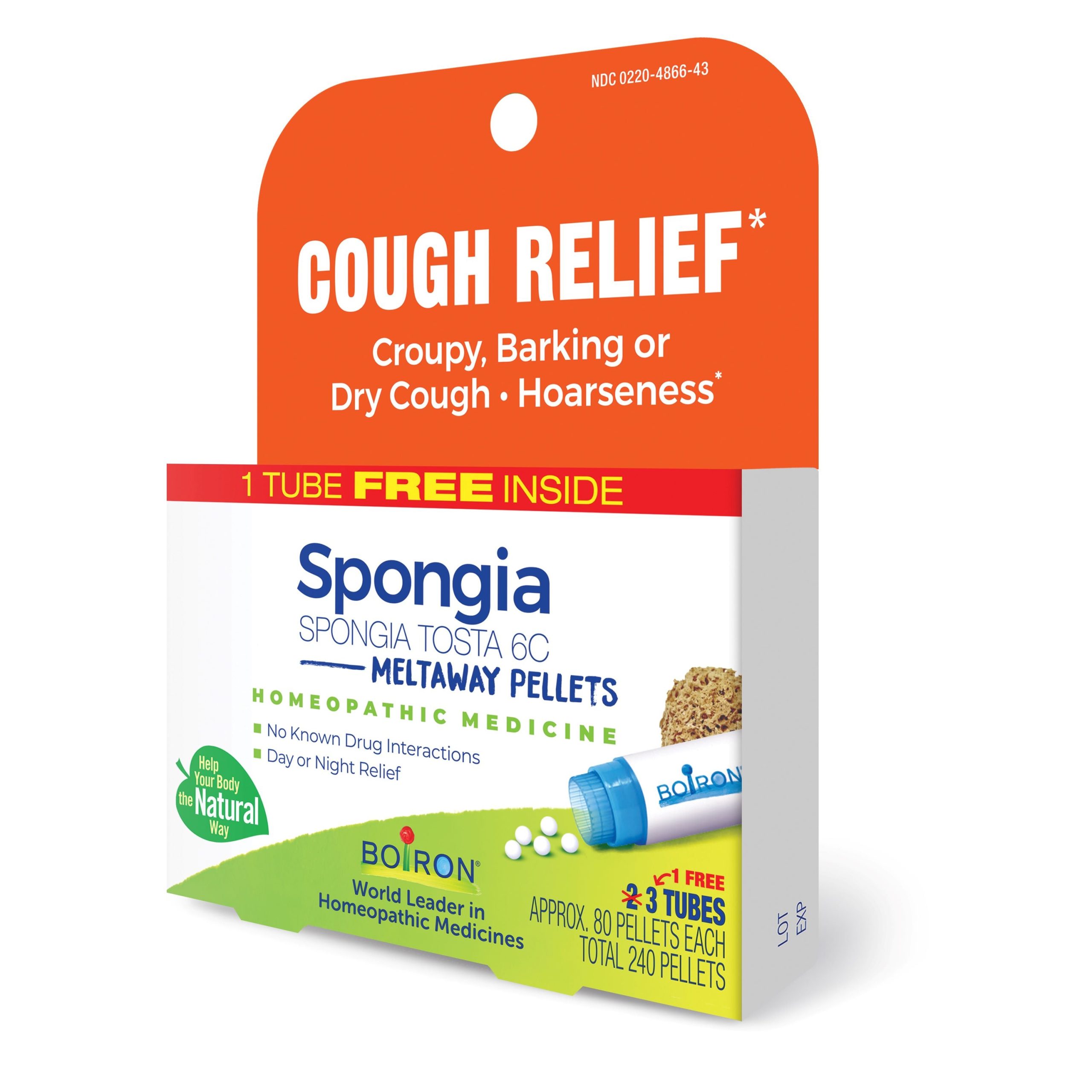 Spongia_Tosta_6C_Bonus_Care_Pack_05.jpg