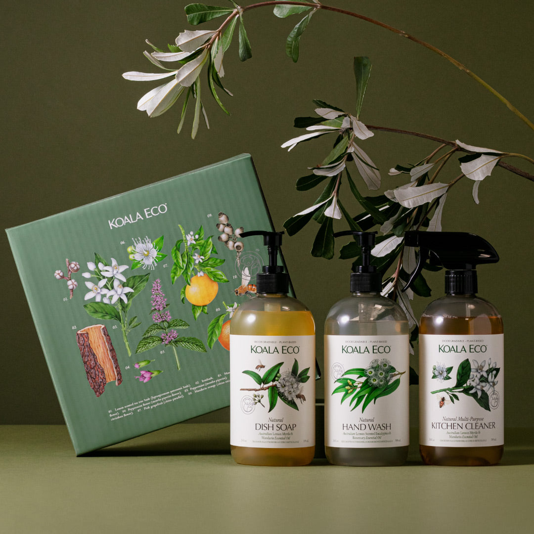 Studio-Session-381-Gift-Home-Resized.jpg