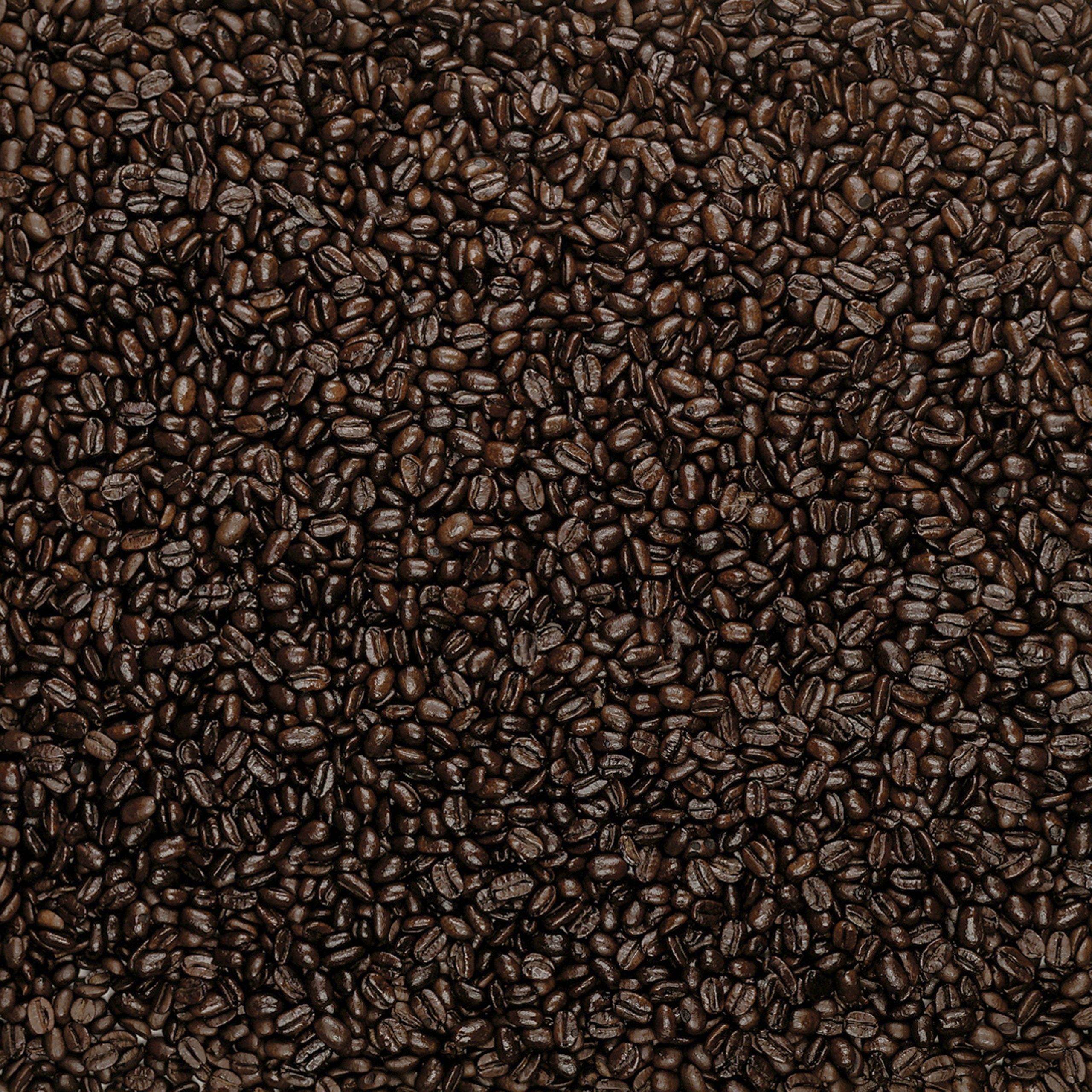 TCC_Noyo-Harbor-French_Lifestylebeans.jpg