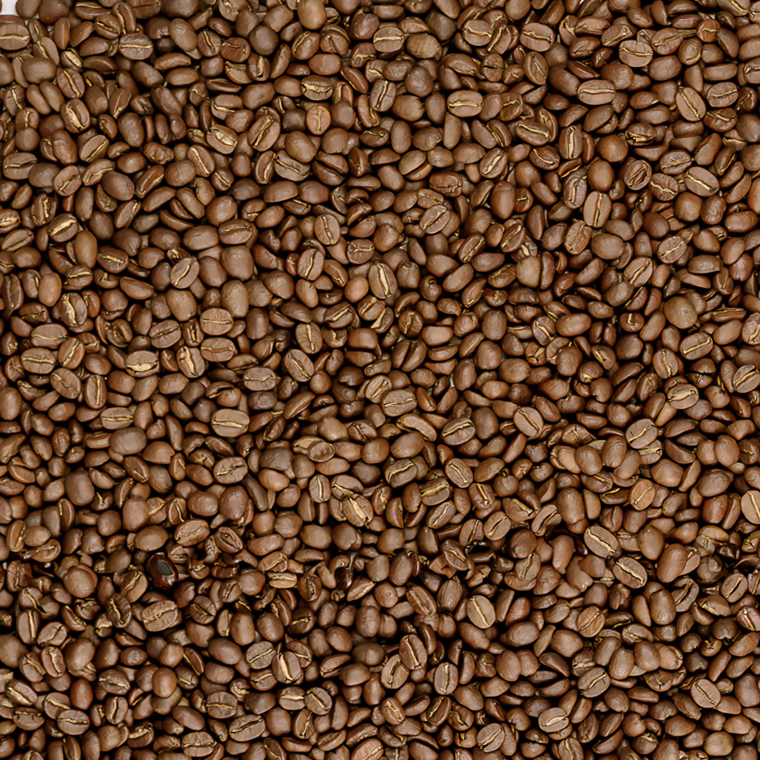 TCC_Songbird-Guat_Beans.jpg
