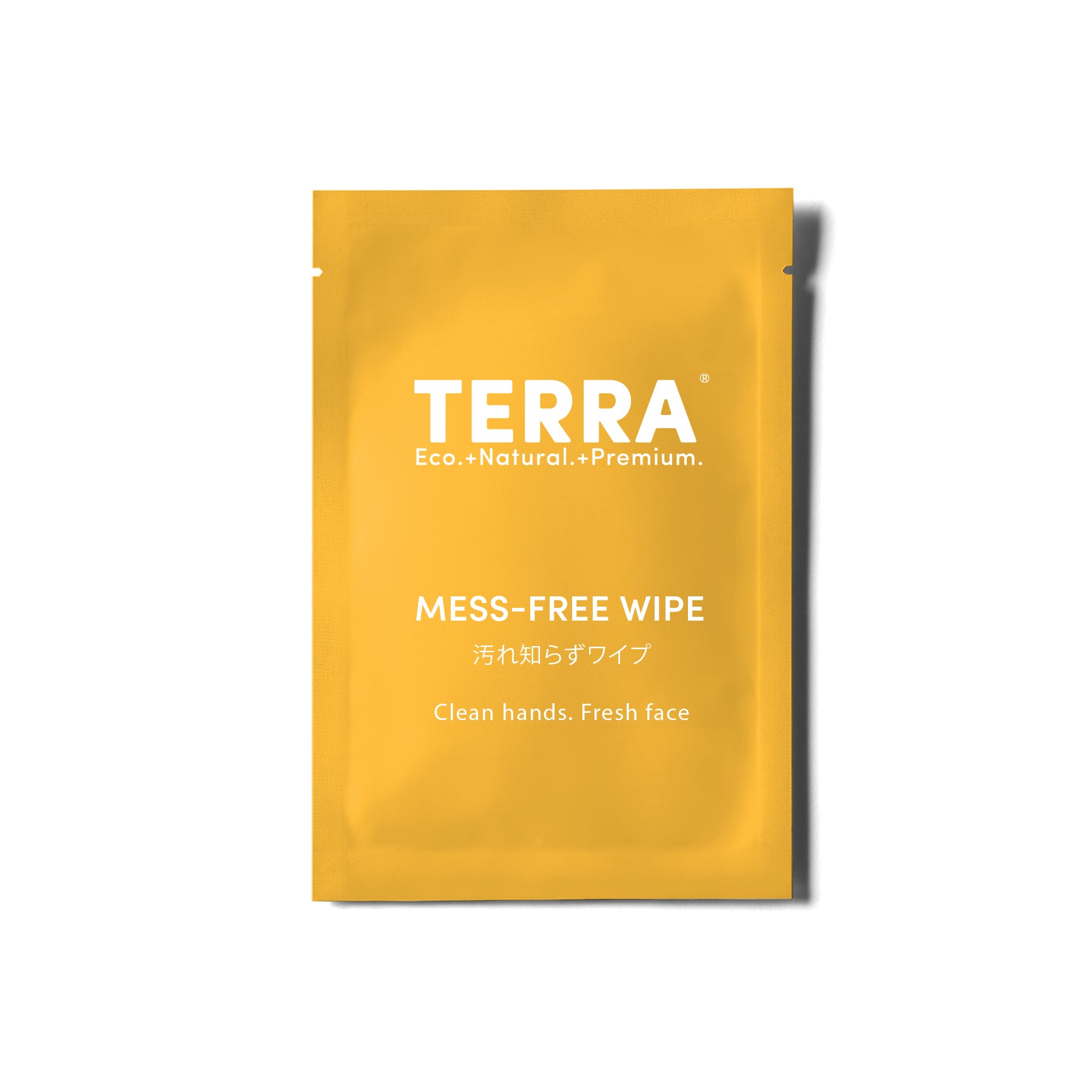 Terra_Multi-Purpose_Wipes_30s_Sachet.jpg