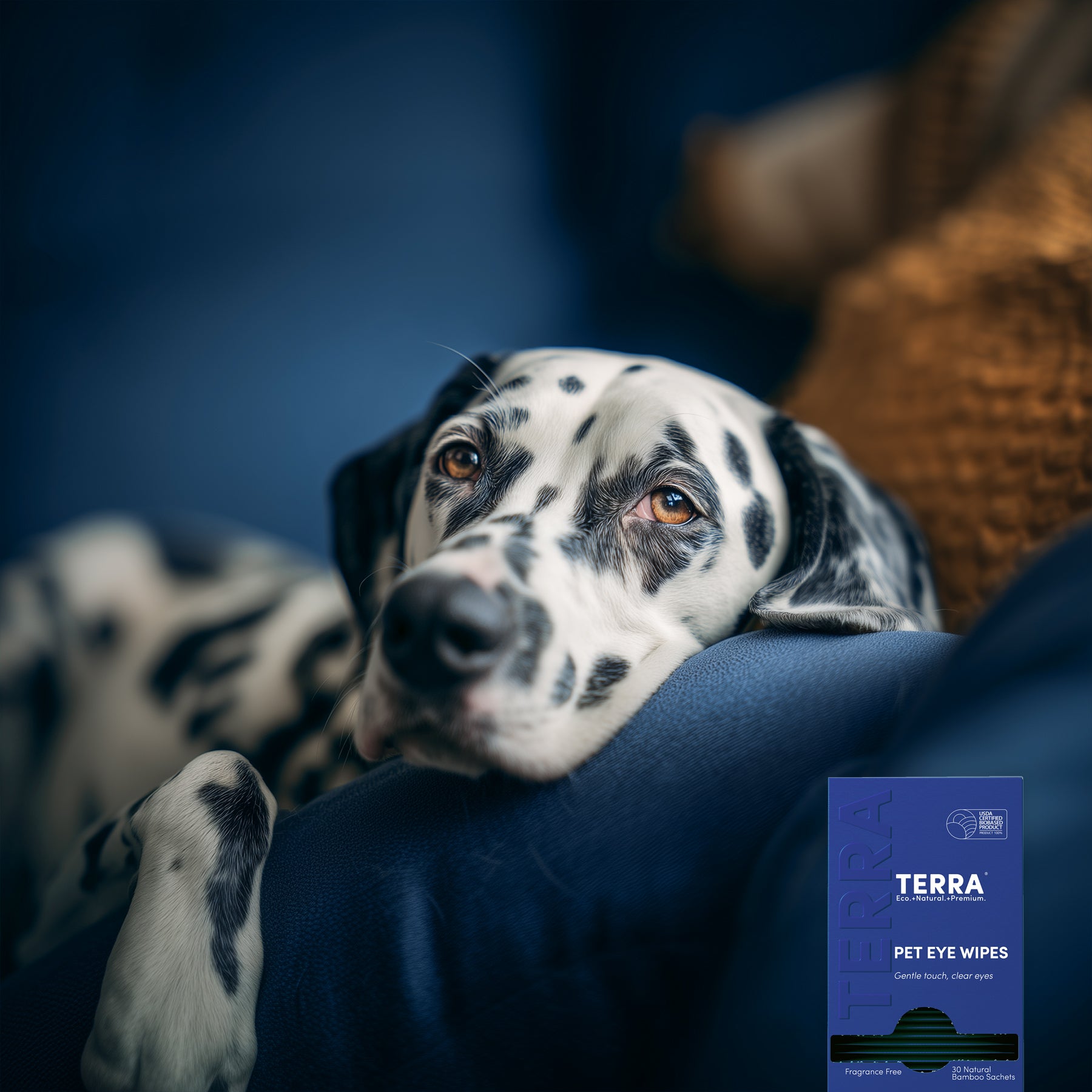 Terra_Pet_Eye_Wipes_30s_Lifestyle2.jpg