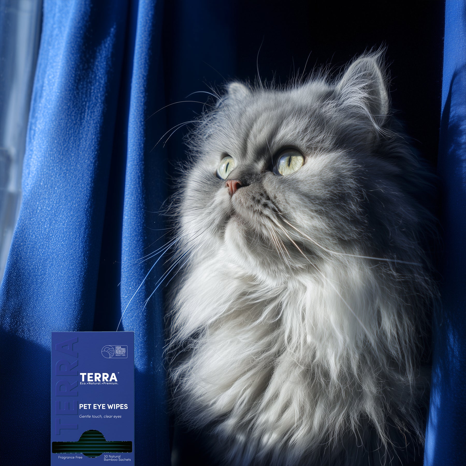 Terra_Pet_Eye_Wipes_30s_Lifestyle3.jpg
