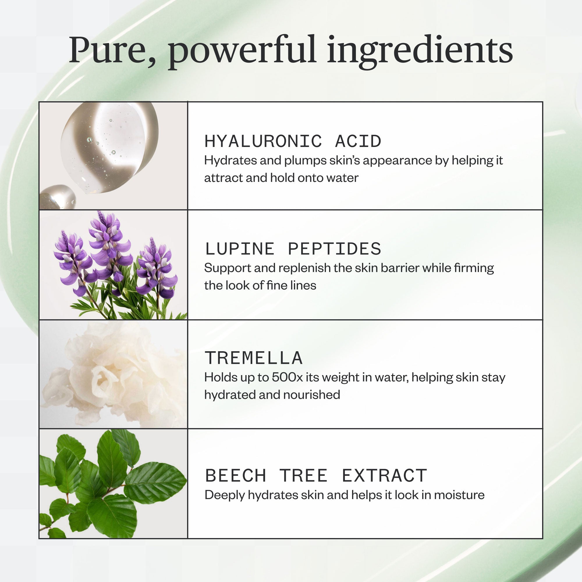 UrsaMajor_ForestWaterHyaluronicSerum_8.jpg