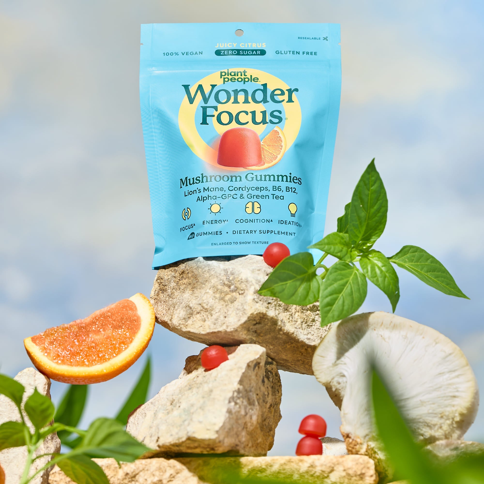 WonderFocus_Lifestyle.jpg