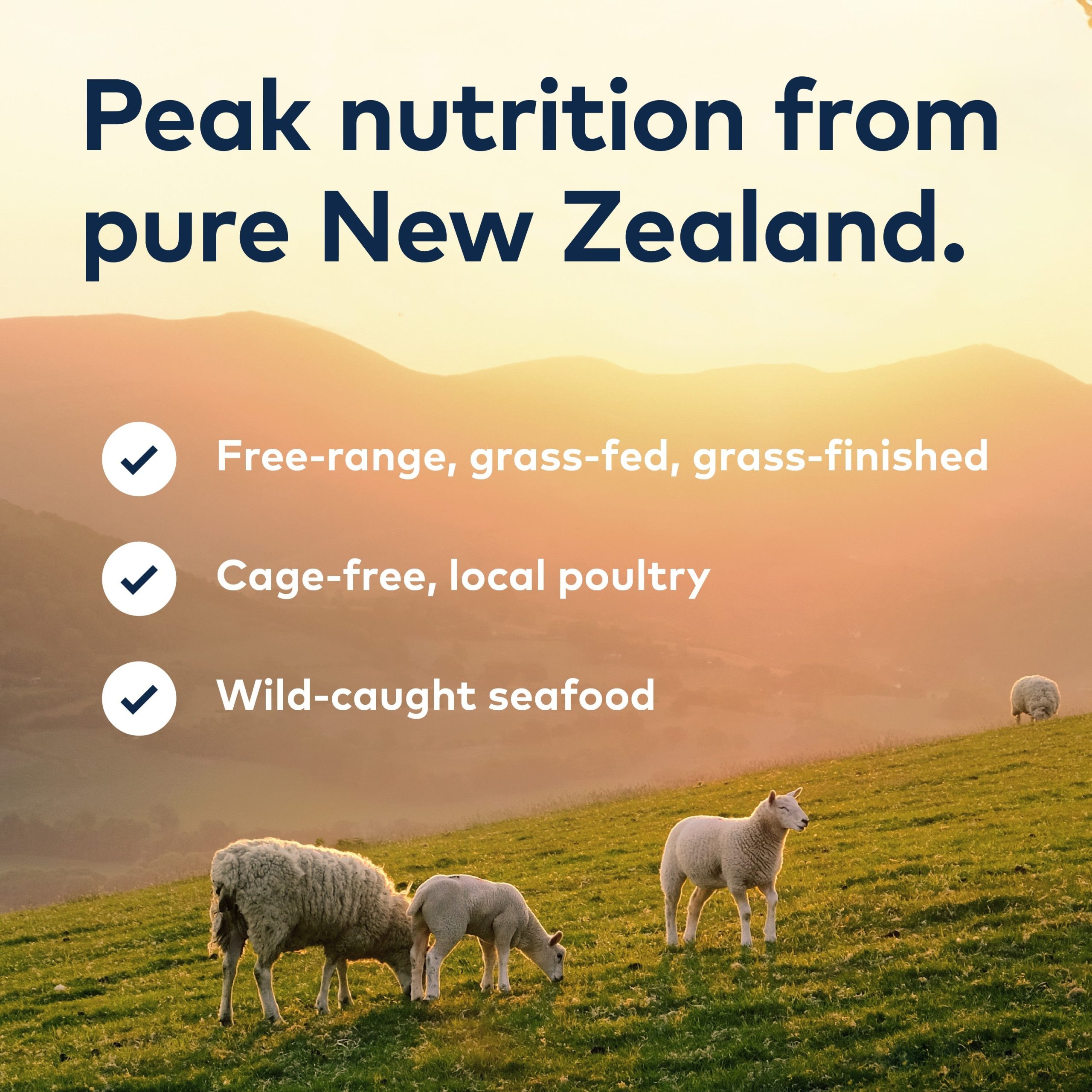ZIWI_ZIWIPeakAir-DriedCatFood_Chicken_2.2lb_PT07.jpg