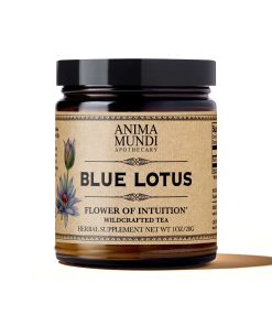 BLUE LOTUS Tea. Flower of Intuition