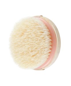 Dry Body Brush