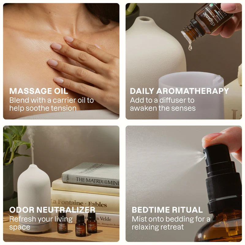 organic-lavender-essential-oilessential-oil-singles-5165894.jpg