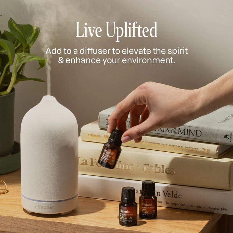 organic-rosemary-essential-oilessential-oil-singles-8159301.jpg