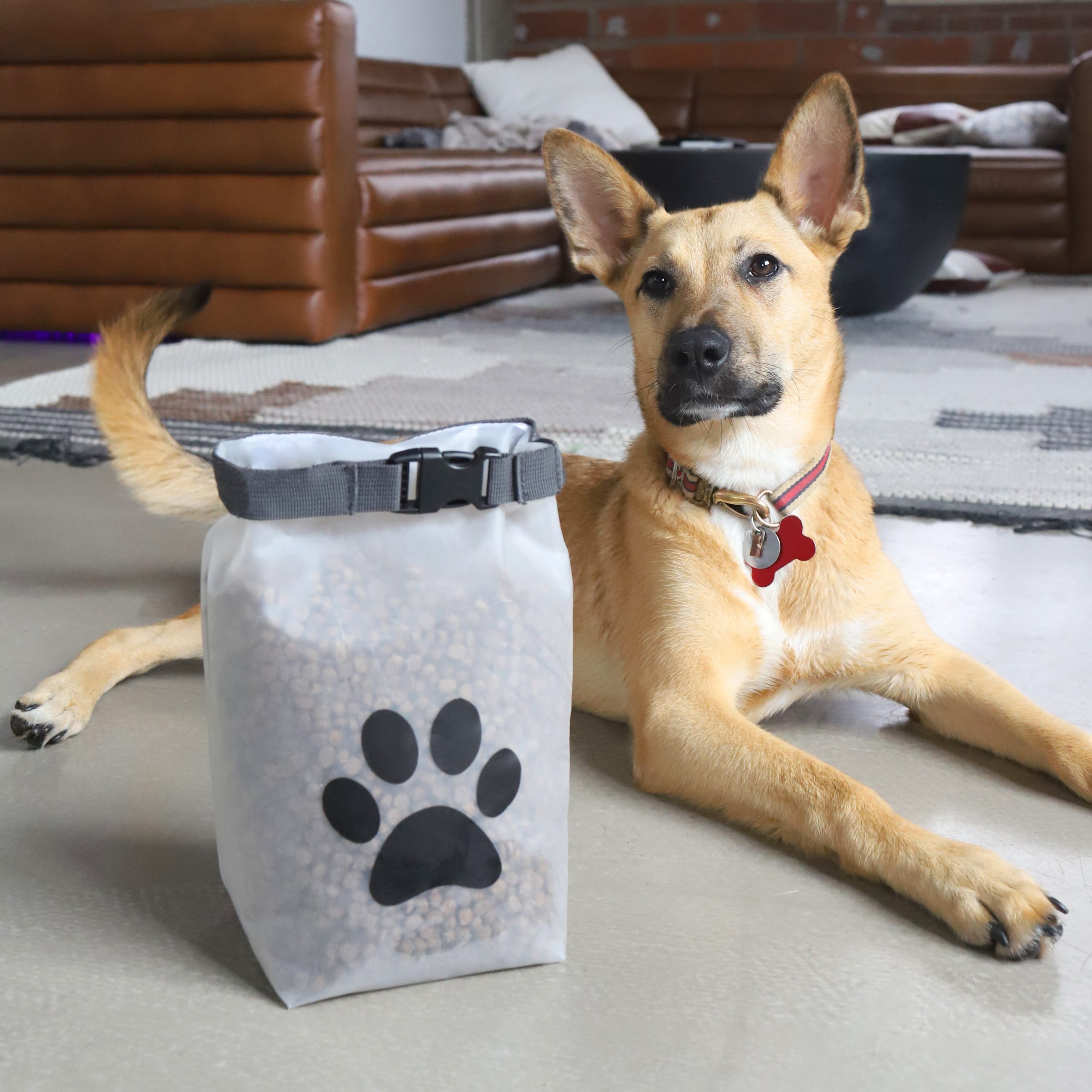 re_zip_ReusablePetFoodStorageBag_Clear_Medium_14Cups_Lifestyle_1.jpg