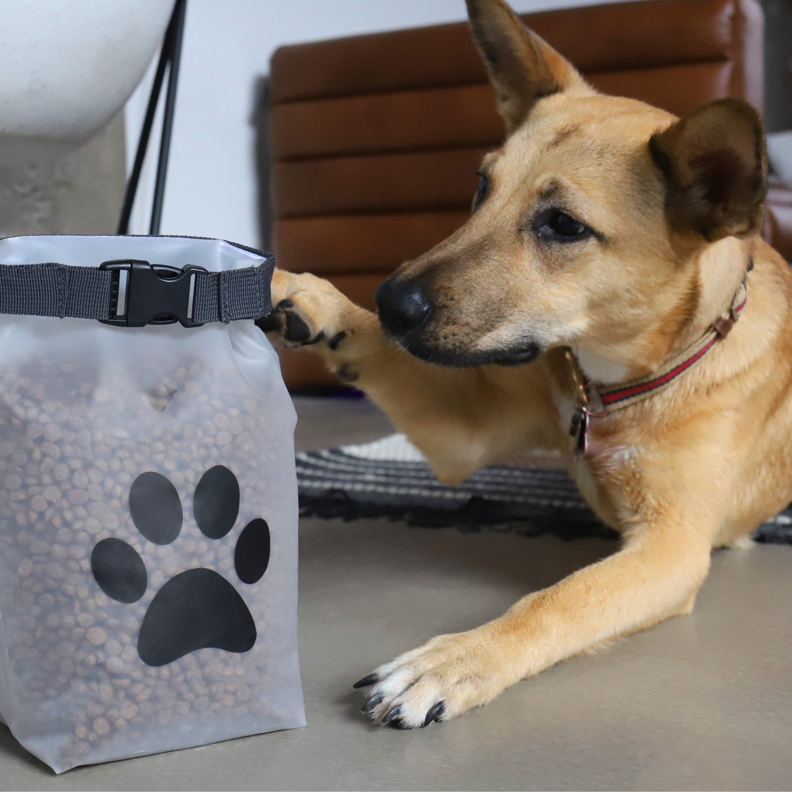 re_zip_ReusablePetFoodStorageBag_Clear_Medium_14Cups_Lifestyle_2.jpg