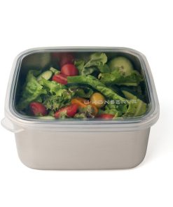 To-Go Large Container