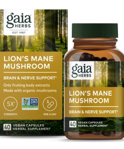 Lion's Mane Mushroom