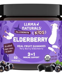 Kids Real Fruit Elderberry Gummies